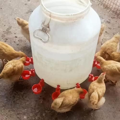 Подмладяващи бъбреците лакомства за кучета (2 опаковки) Подмладяващи бъбреците лакомства за кучета, Низкобелковые лакомства за кучета за всеки диетична храна за кучета, Специални бъбречни екстри за поддържане на добро