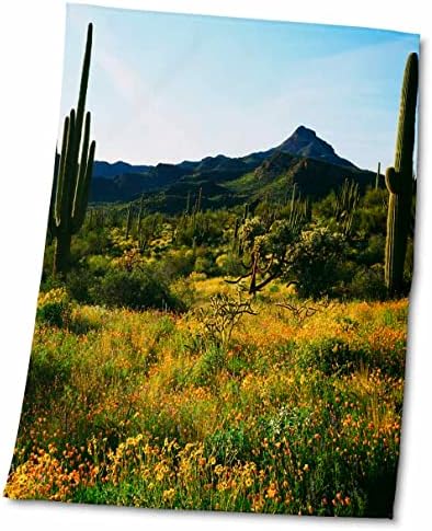 3дРоуз, САЩ, Аризона, Национален паметник на орган тръба Кактус. Цветя и кактуси. - Кърпи (twl-208733-3)