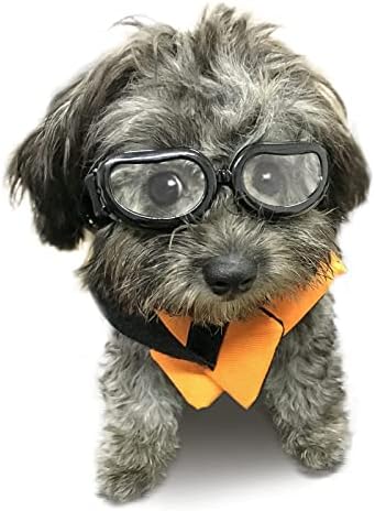 Слънчеви Очила за кучета със защита от ултравиолетови лъчи За кучета от Малките породи, Ветроупорен Фарове за слънчеви очила за кучета, за малки Кучета с Тегло над 5 килограма, Прозрачни