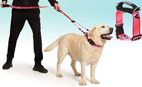 Комплект куче греди, Колан и каишка. Шлейка за кучета, размер XL с обиколка на гърдите 30 -36 и нашийник за кучета-размер L с обиколка на врата 19,3-25. Кученце на каишка с дължина 4 метра. Розов цвят.