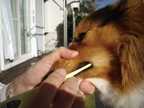 Мека четка за зъби за грижа за устната кухина на кучето Mind up (внос от Япония)