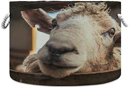 Кръгла Кошница за съхранение на Овце Кигай, кош за играчки с дръжка от Памучни Въжета, Кошница за дрехи, Органайзер за дрехи 20 x 14 Инча