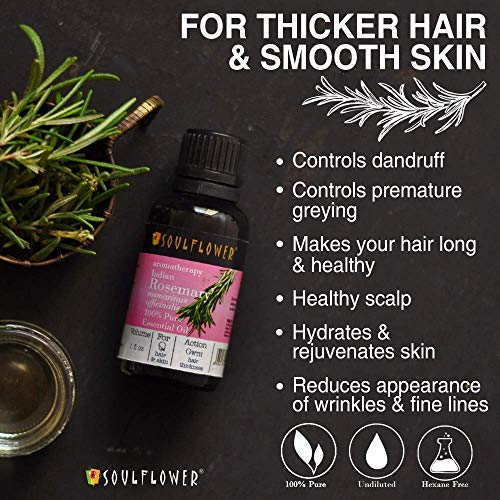 Набор от етерични масла за грижа за косата и кожата Soulflower с розмарин, Иланг-Илангом, куркума и етерично масло от чаено дърво